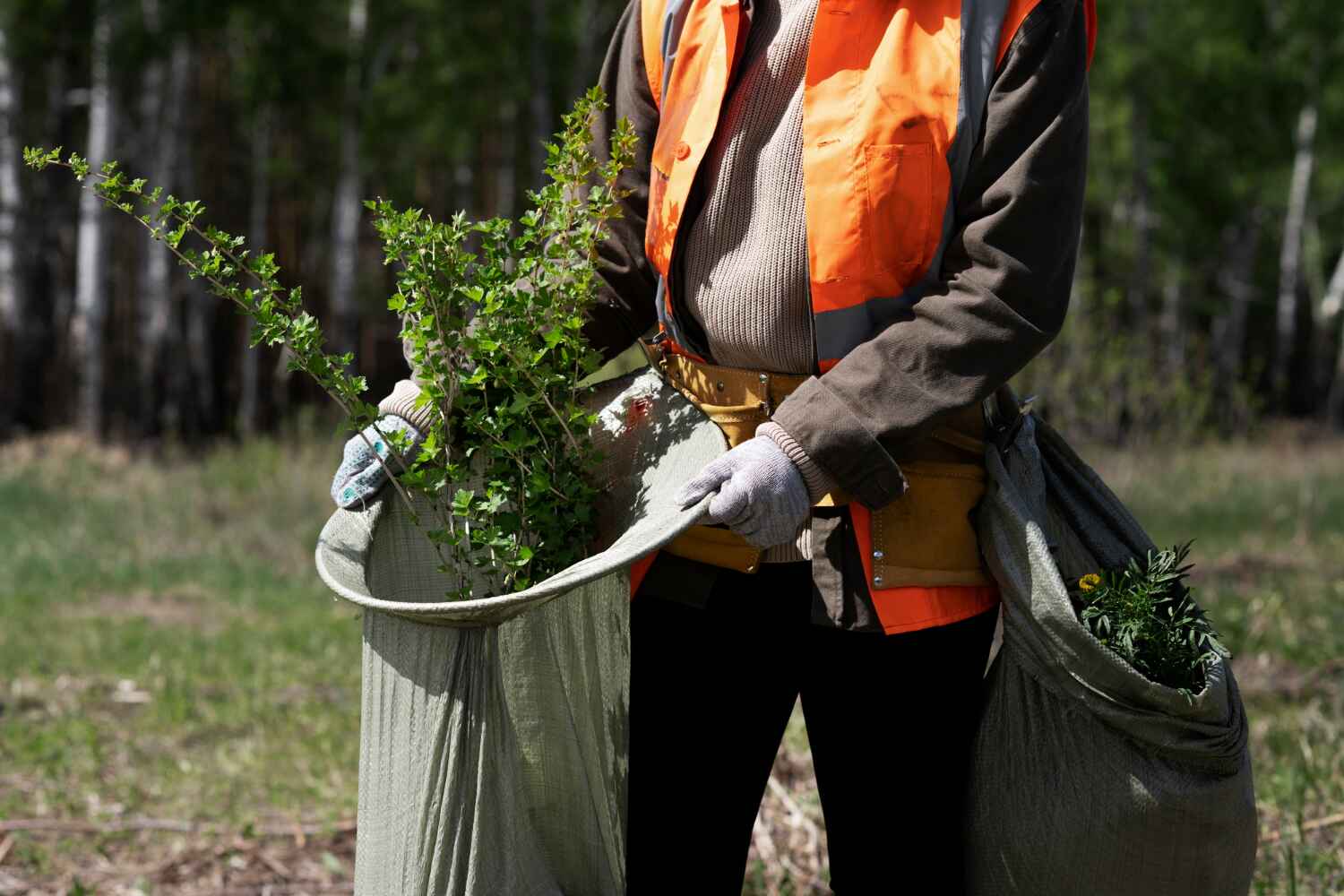 Best Residential Tree Removal  in Lake Summerset, IL